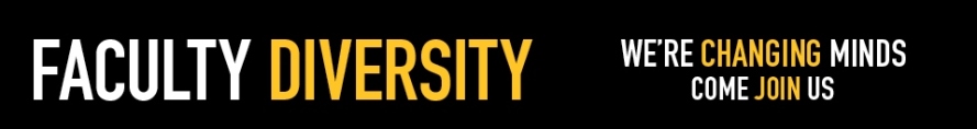 UMBC Faculty Diversity